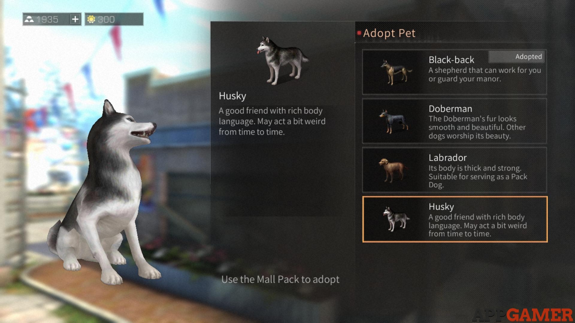 Can I Adopt A New Pet LifeAfter Guide And Tips