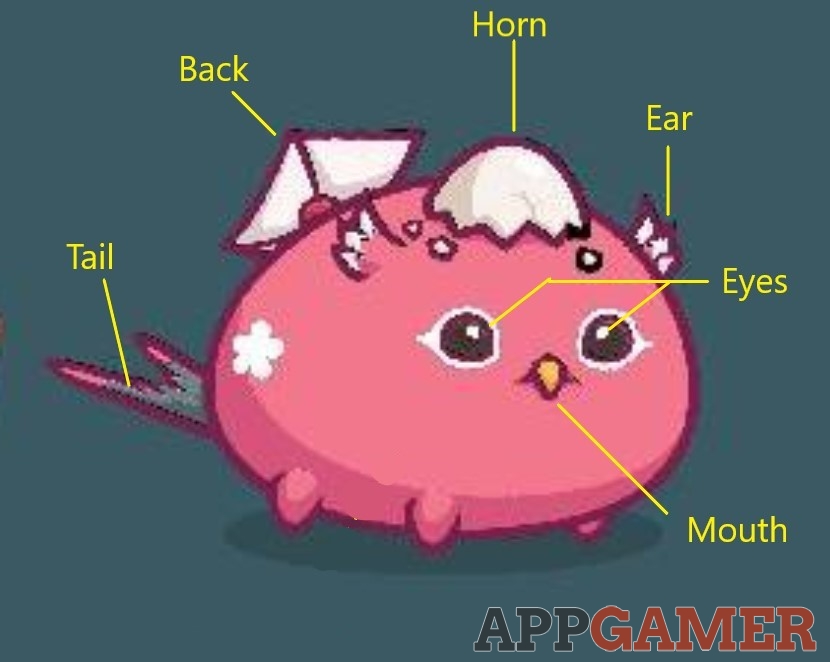 Axie Parts And Abilities Axie Infinity Wiki Guide