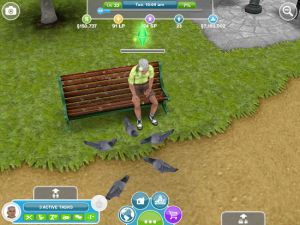Bird Feeding Spotting Mission The Sims Freeplay