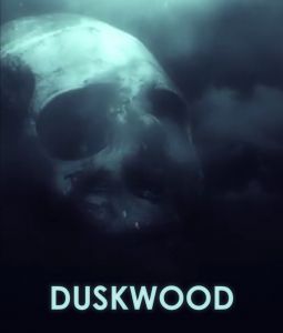 Duskwood сколько эпизодов будет