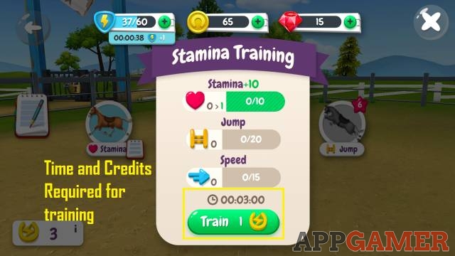 How Do You Improve Your Horse S Stamina And Jump Skills My Horse Stories Guide And Tips - train jump ability roblox