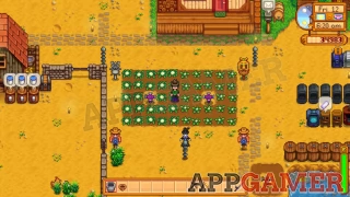Stardew Valley: How to Get the Best Crops per Season