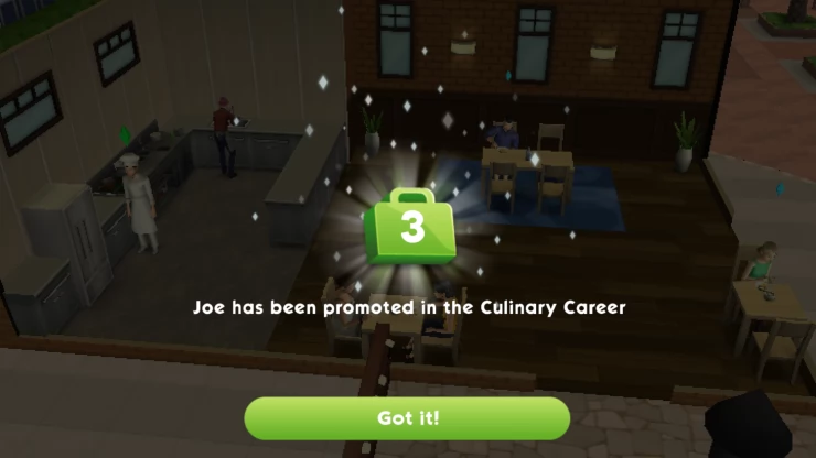 Culinary Career