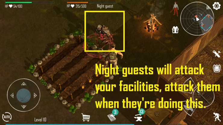 What are Night Guests?