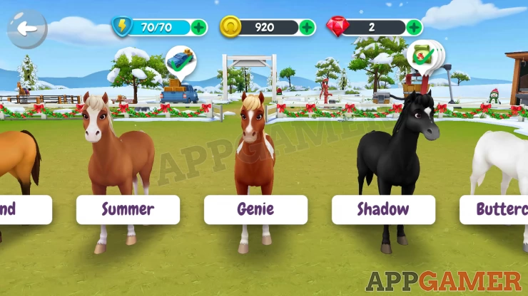 How many Horses can you own?