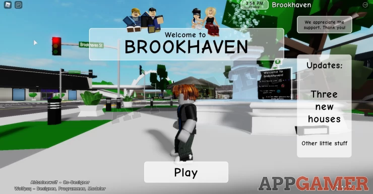 Brookhaven Codes on