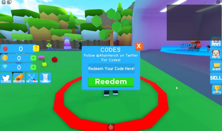 Bring up the codes screen to redeem
