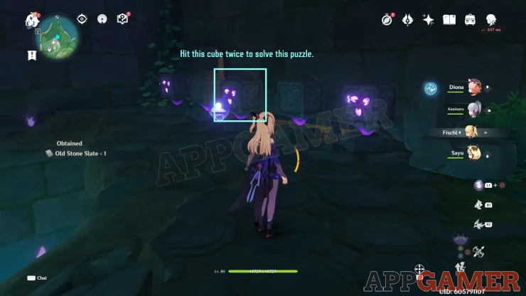 How to Unlock the Underground Teleporter and Domain in Araumi