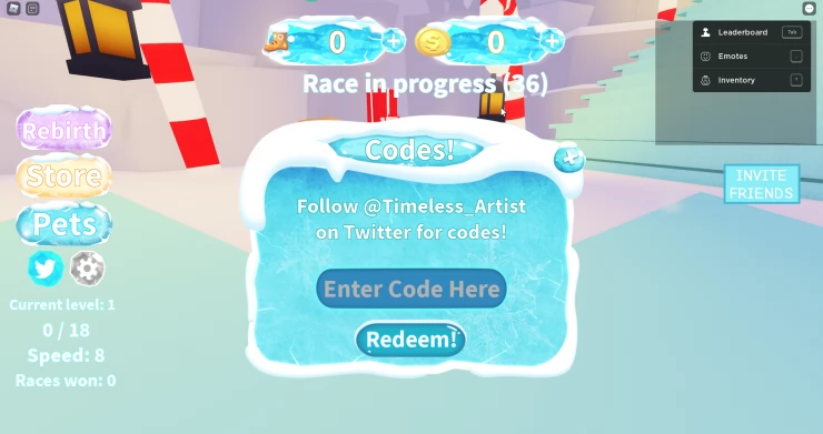 Ice Skating Simulator Code Entry
