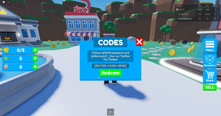 Magnet Champions Code Entry