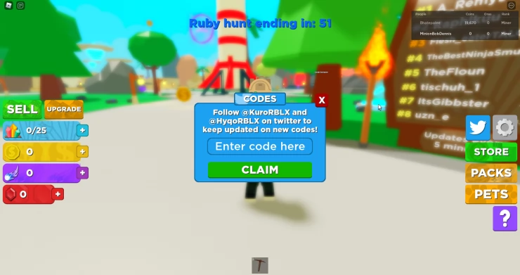 Planet Hoppers Code Entry Screen