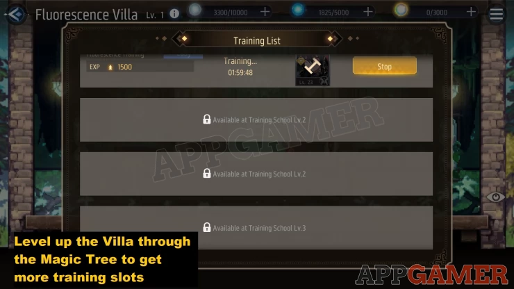 Get more slots by upgrading the Villa