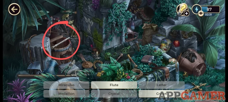 Find the Miraculus plant in the Ruins