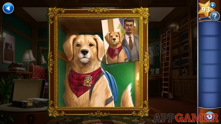 Chapter 1 Canine Cases Walkthrough