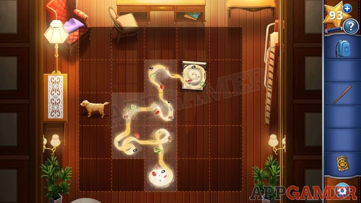 Chapter 1 Canine Cases Walkthrough