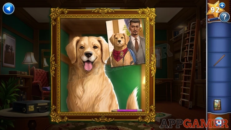 Chapter 1 Canine Cases Walkthrough