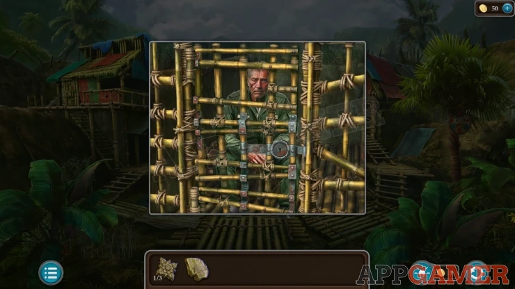 Level 21 - Tropical Forest Walkthrough