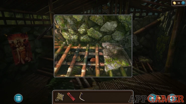 Level 21 - Tropical Forest Walkthrough