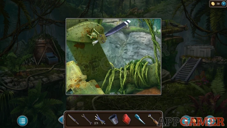 Level 21 - Tropical Forest Walkthrough