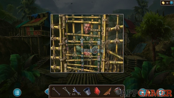 Level 21 - Tropical Forest Walkthrough