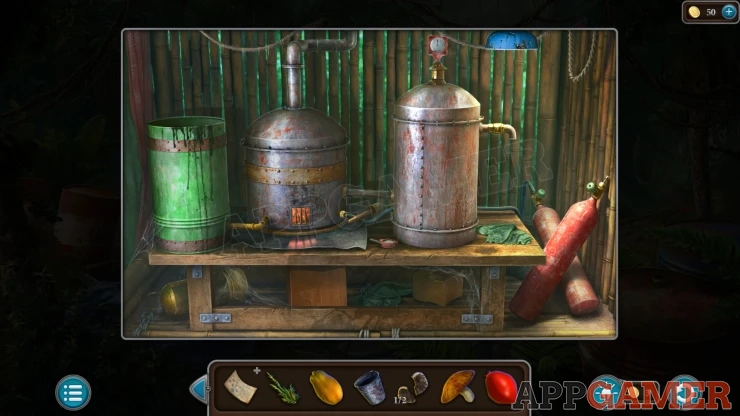 Level 21 - Tropical Forest Walkthrough
