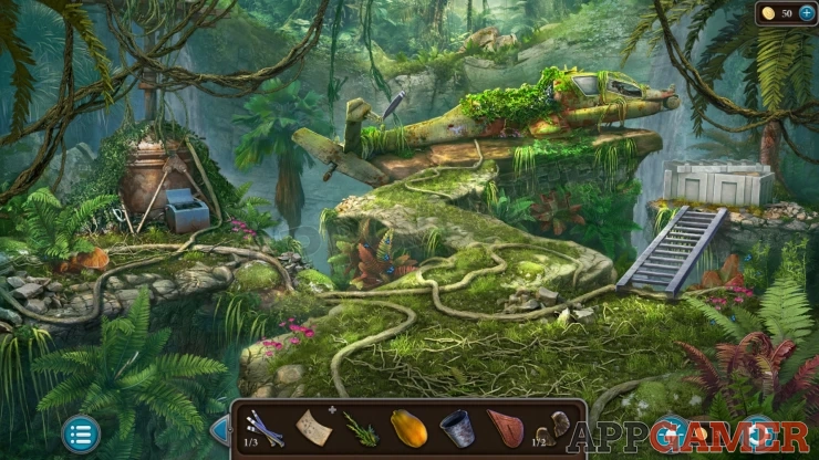 Level 21 - Tropical Forest Walkthrough