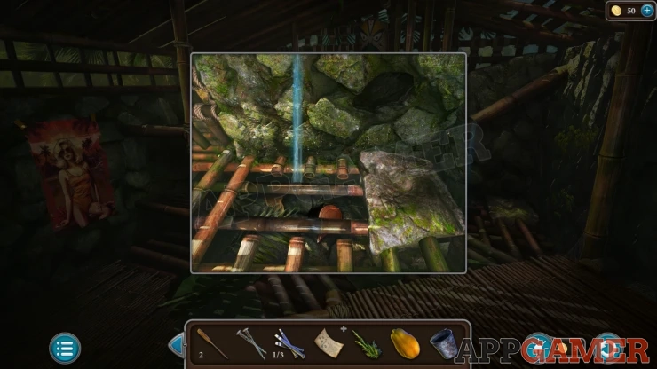 Level 21 - Tropical Forest Walkthrough