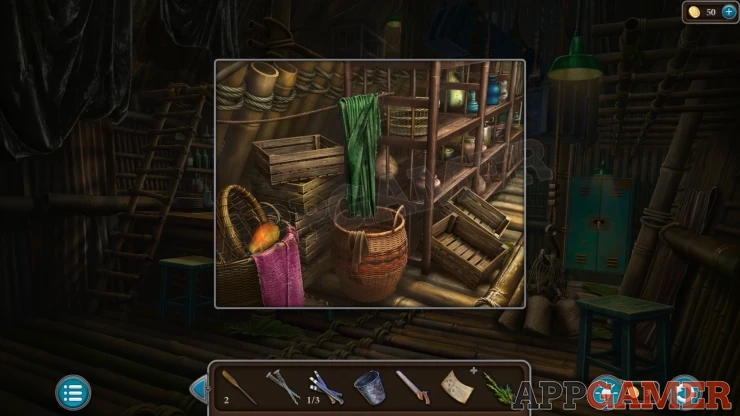 Level 21 - Tropical Forest Walkthrough