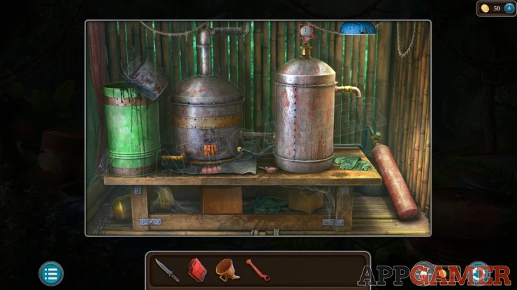 Level 21 - Tropical Forest Walkthrough