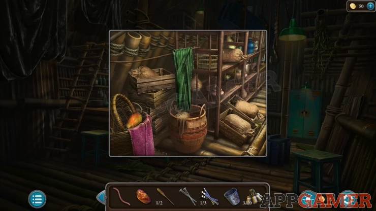 Level 21 - Tropical Forest Walkthrough