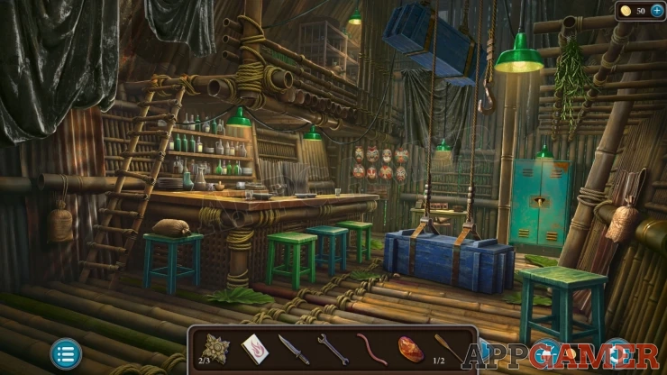 Level 21 - Tropical Forest Walkthrough