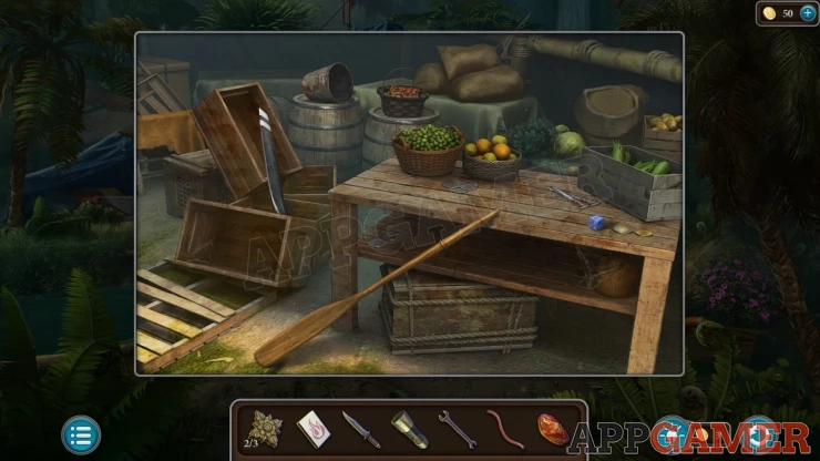 Level 21 - Tropical Forest Walkthrough