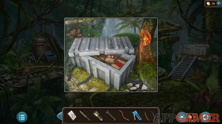 Level 21 - Tropical Forest Walkthrough