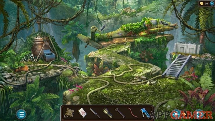 Level 21 - Tropical Forest Walkthrough