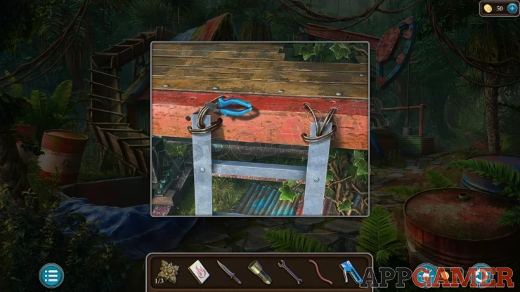 Level 21 - Tropical Forest Walkthrough