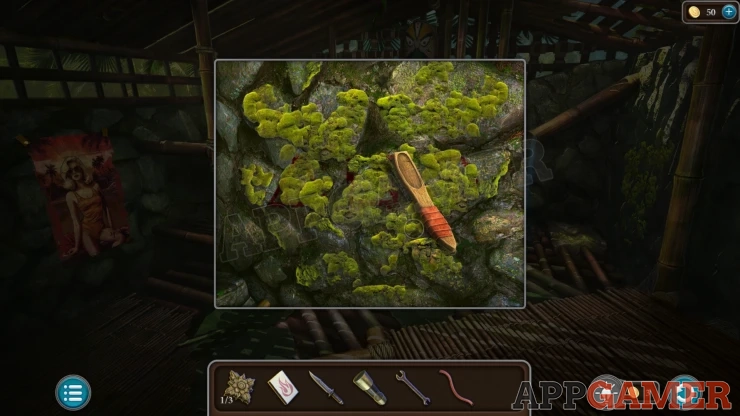 Level 21 - Tropical Forest Walkthrough