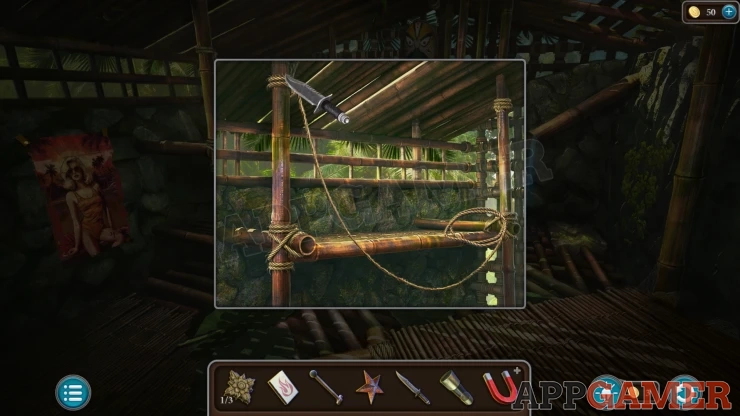 Level 21 - Tropical Forest Walkthrough