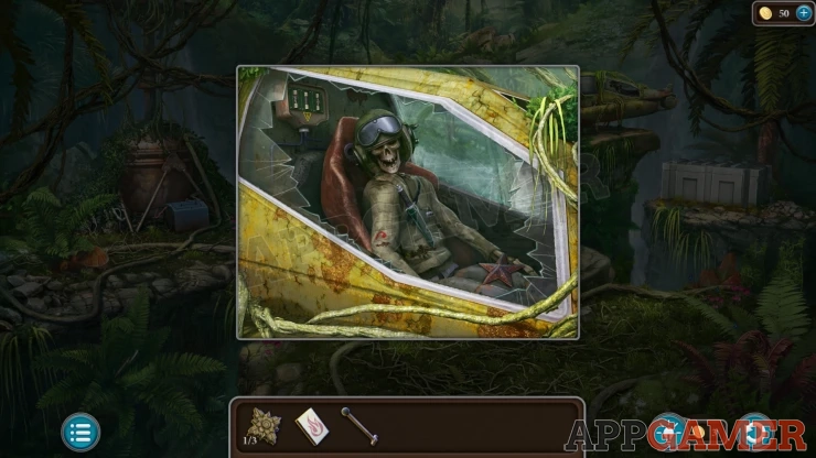 Level 21 - Tropical Forest Walkthrough