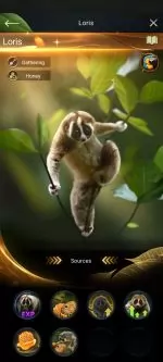 Develop Alphas Guide